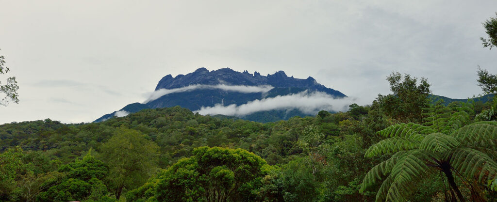 Besök Borneo, bestig Mount Kinibalu