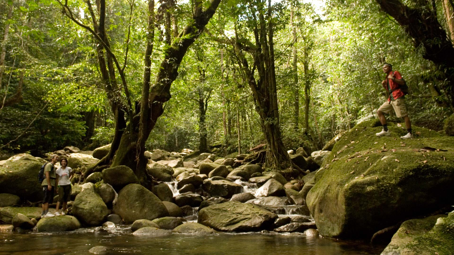 Bästa tiden för djungeläventyr Borneo