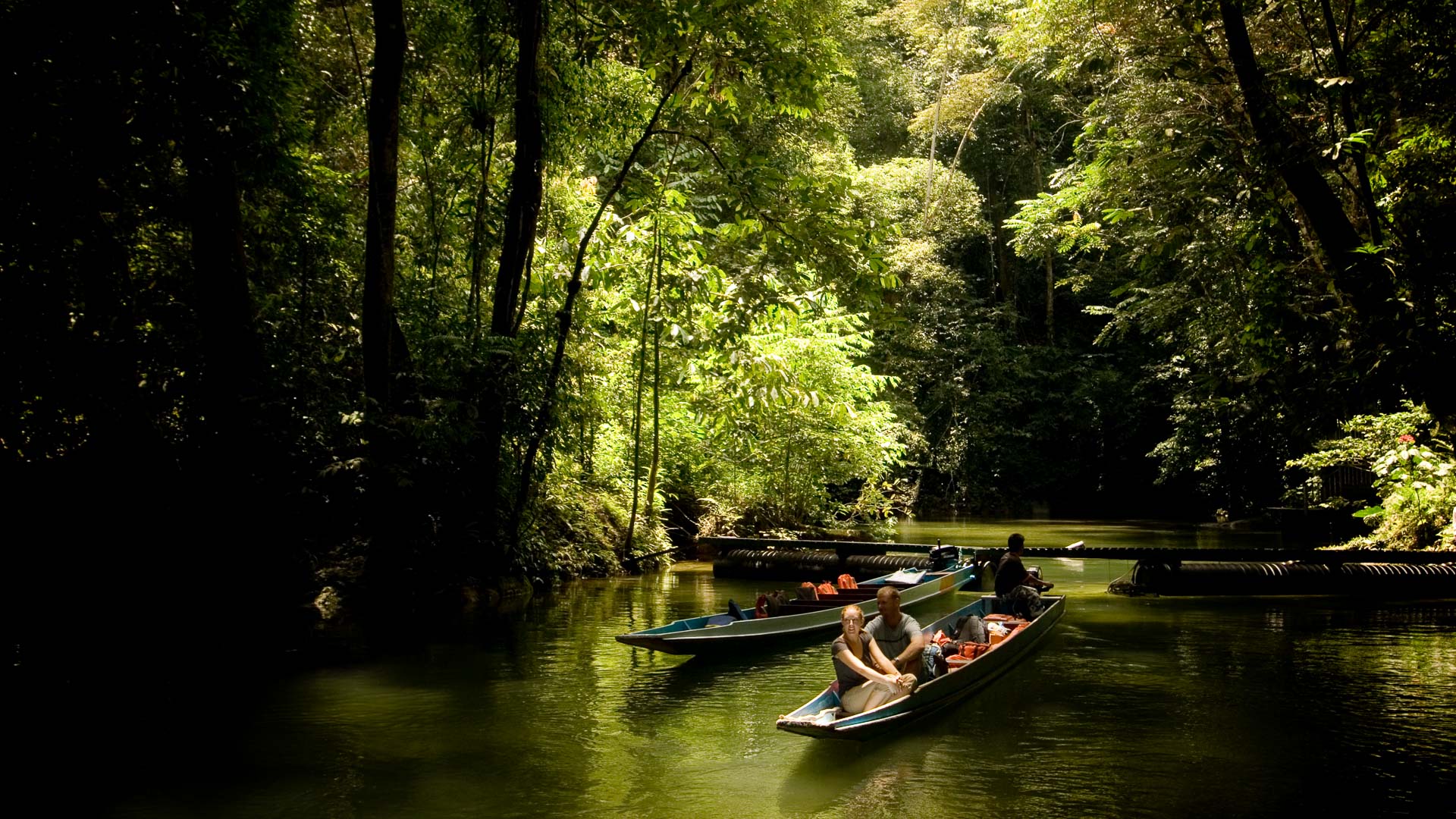 Borneos regnskog, bra att veta inför resan, fakta om Malaysia